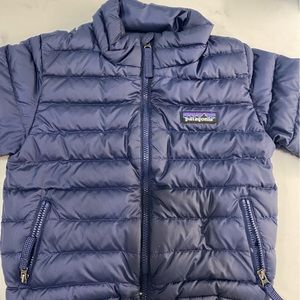 Patagonia Down Sweater (toddler)